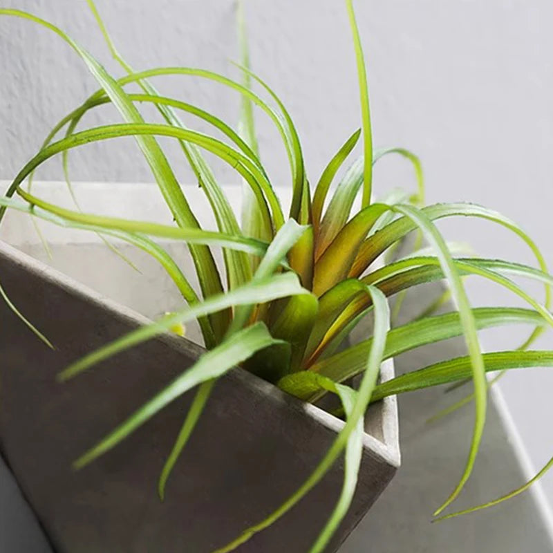 Creative Wall-Mounted Vase – Modern Decorative Flower Holder